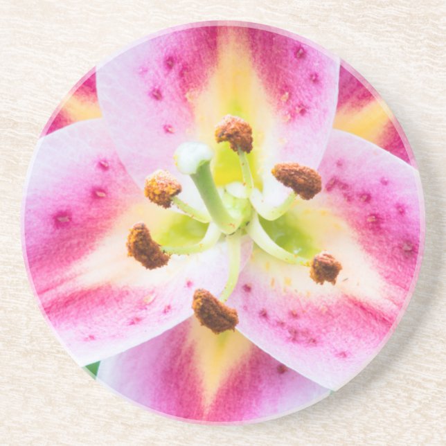 Lily Close-up Coaster (Front)
