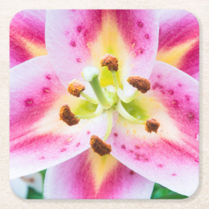 Lily Close-up Square Paper Coaster