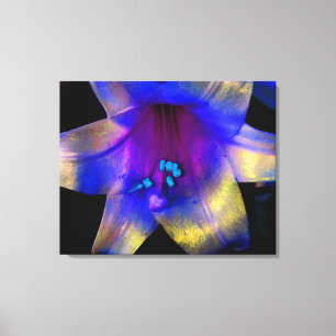 Lily Digitally Enhanced Canvas Wrap Quad Print