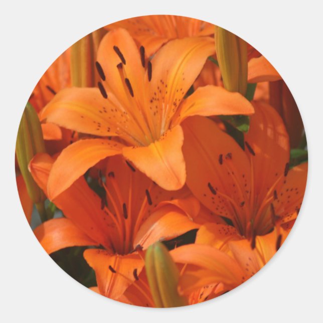 Lily Envelope Seal Stickers (Front)