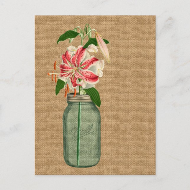 Lily fleur dans un pot Mason Postcard (Front)