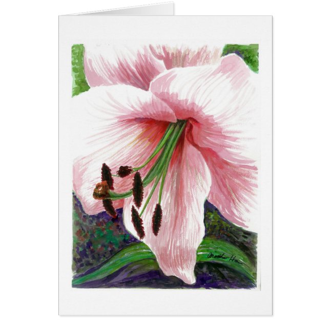 Lily flower (Front)