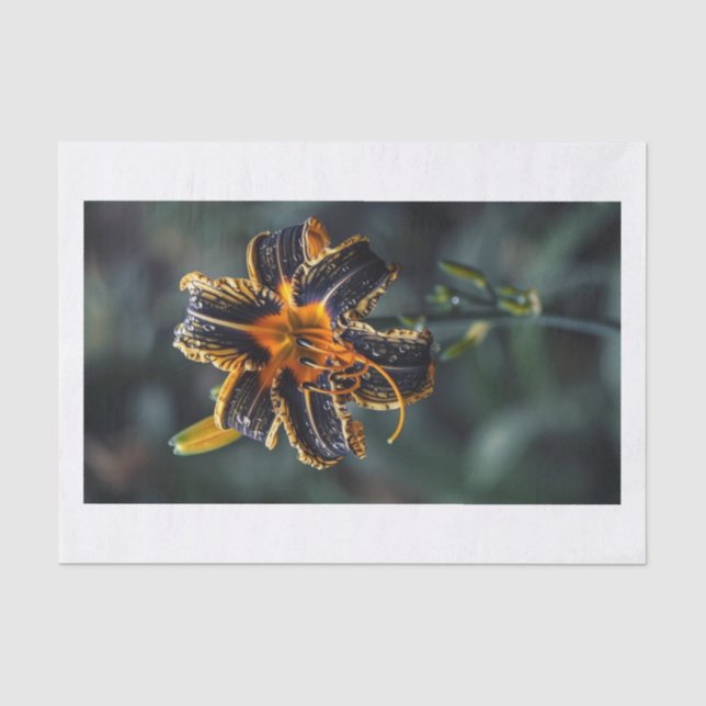 Lily Flower9 Tissue Paper (Front)