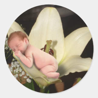 Lily Flower Baby Round Sticker