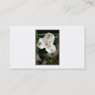 Lily Flower. Business Card
