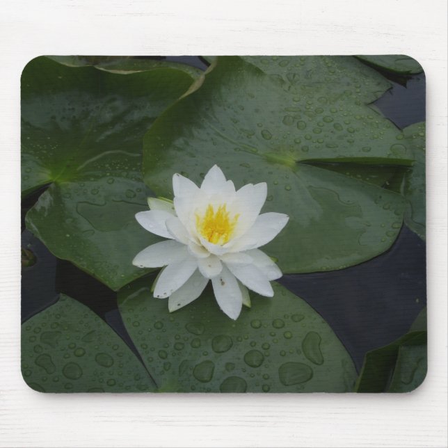 Lily Flower in Lily Pads Mouse Pad (Front)