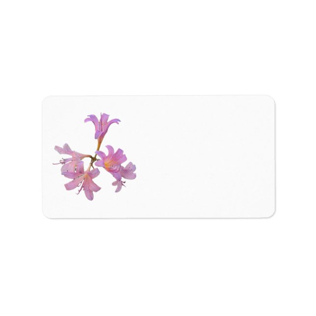 Lily Flowers Return Address Label (Front)