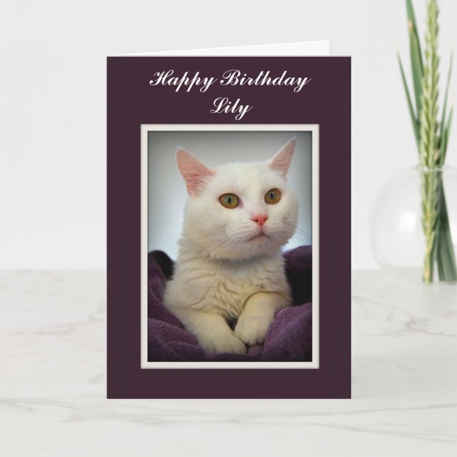 Lily Happy Birthday White Cat Card (Front)