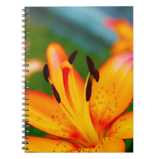 Lily II Spiral Notebook