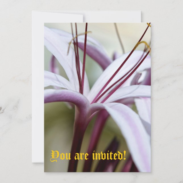 Lily Invitations - Customised (Front)
