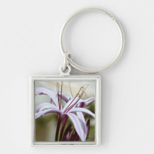 Lily Key Ring