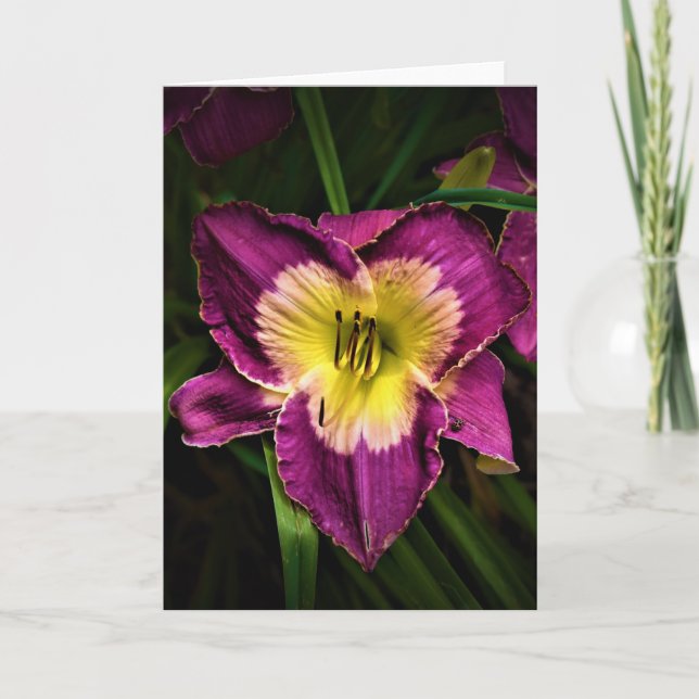 Lily & Ladybug, card (Front)