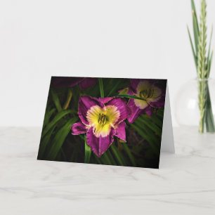 Lily & Ladybug, card
