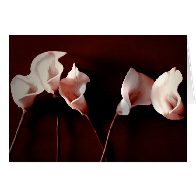 Lily Love (Front Horizontal)