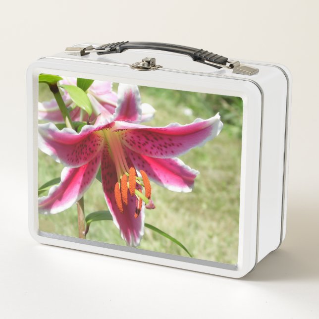Lily Lunchbox (Front)