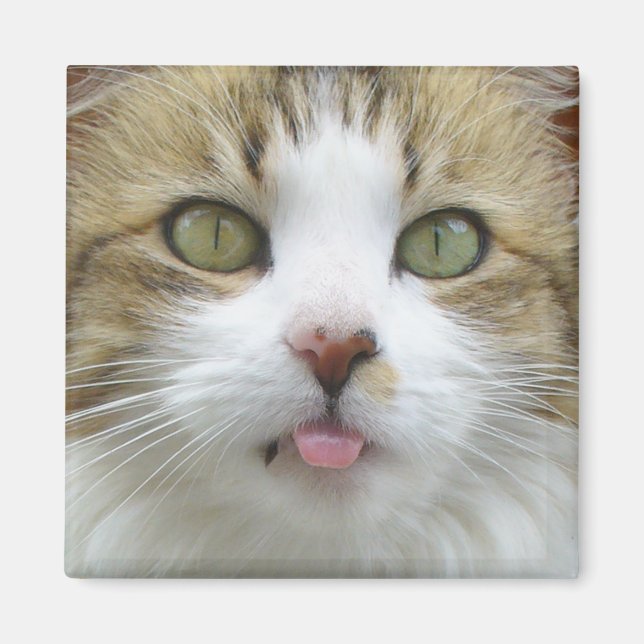 Lily Magnet 003 (Front)