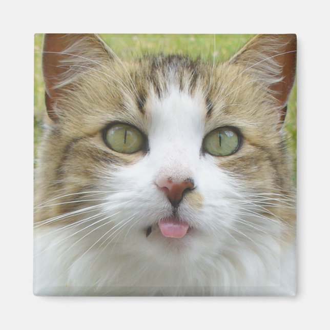 Lily Magnet 004 (Front)