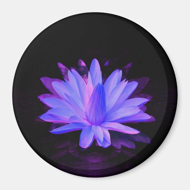 Lily of Love... Magnet (Front)