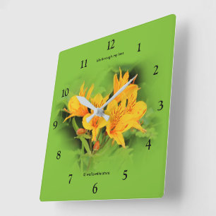 Lily of the Incas / Yellow Alstroemeria Square Wall Clock