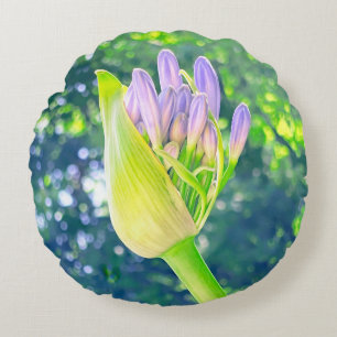Lily of the Nile Flower Close Up Round Cushion