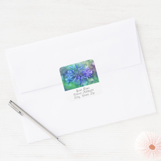 'Lily of the Nile'  Labels (Envelope)