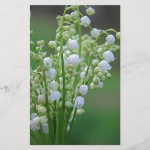 Lily of the valley