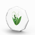 Lily Of The Valley