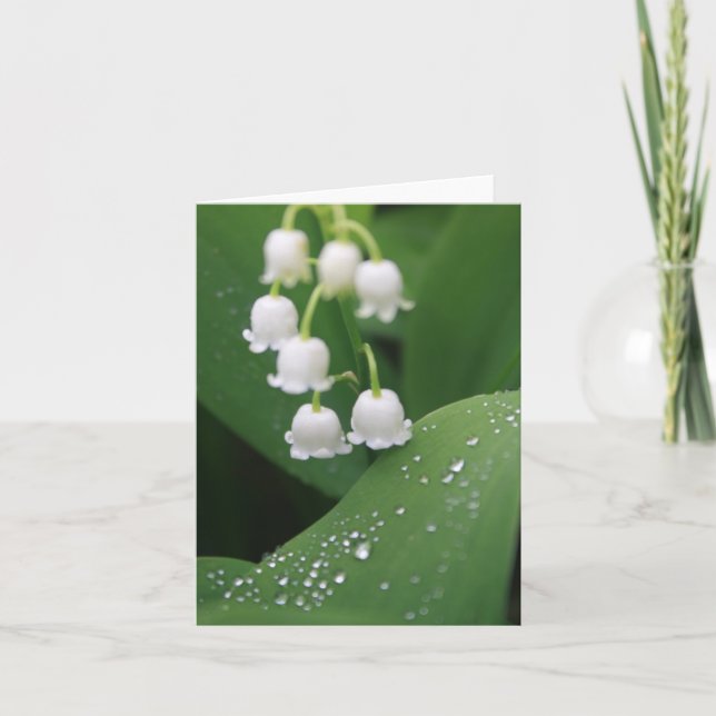 Lily of the Valley After the Rain Note Card (Front)