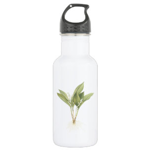 Lily-of-the-valley(Convallaria majalis) by Redouté 532 Ml Water Bottle