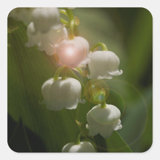 Lily Of The Valley Floral Square Sticker (Front)