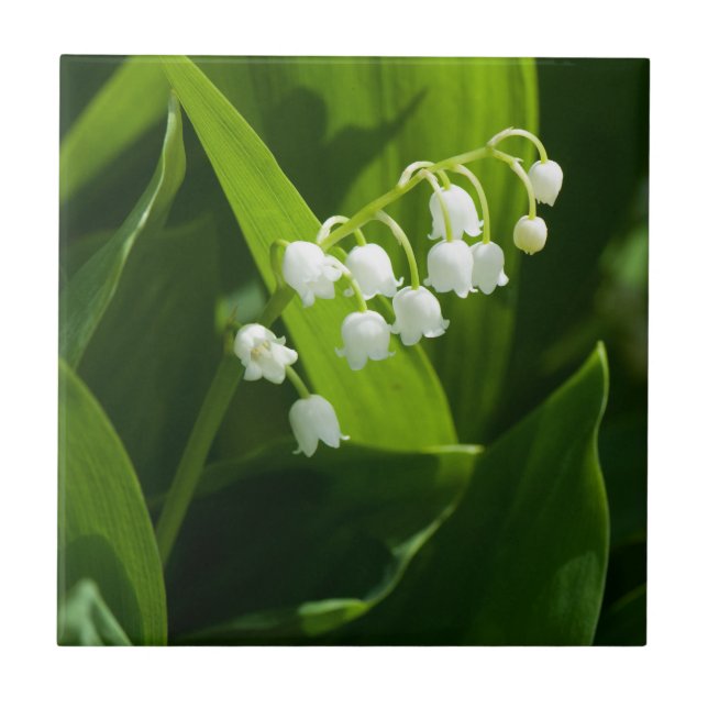 Lily of the valley flower tile (Front)