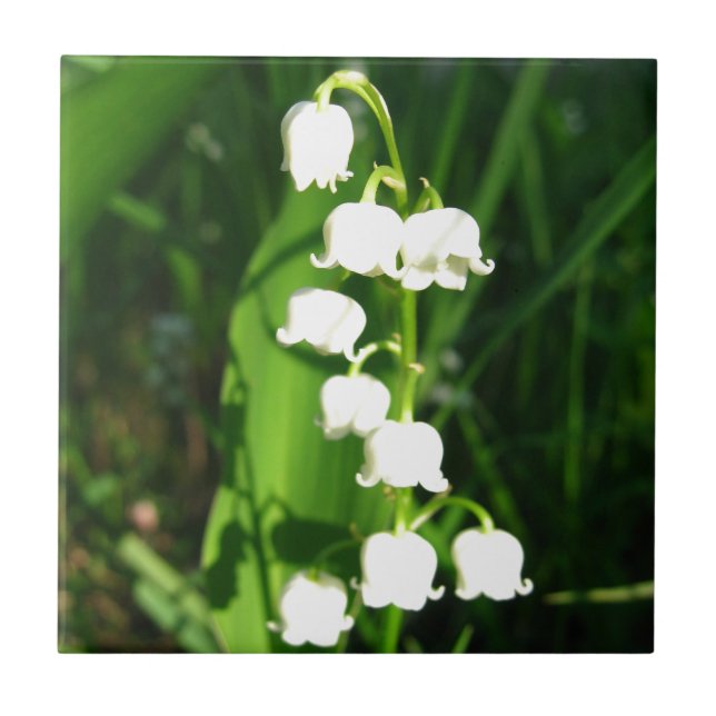 Lily Of The Valley Flowers Tile (Front)