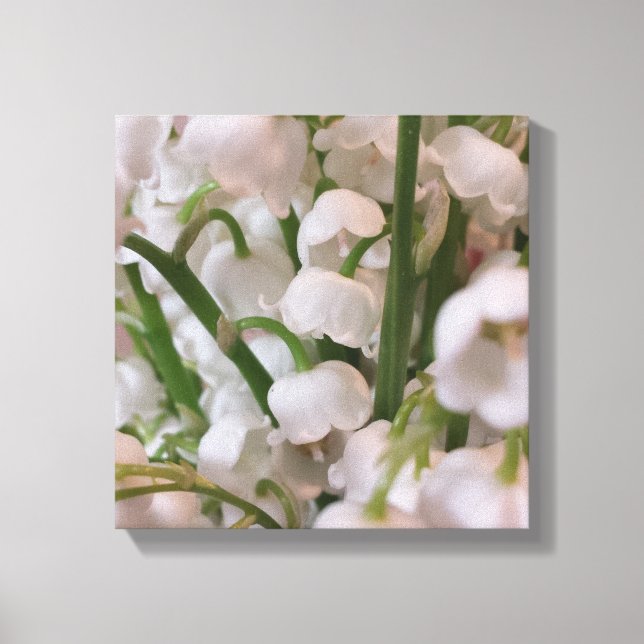 Lily of the Valley Macro Flowers Canvas Print (Front)