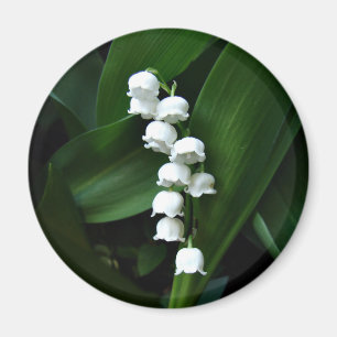 Lily of the Valley magnet