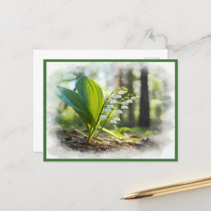 Lily of the valley National Flower Finland Postcard