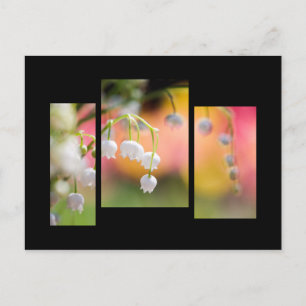 Lily of the valley postcard