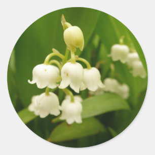 Lily Of The Valley Sticker