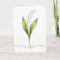 Lily of the Valley Symbol of Returning Happiness