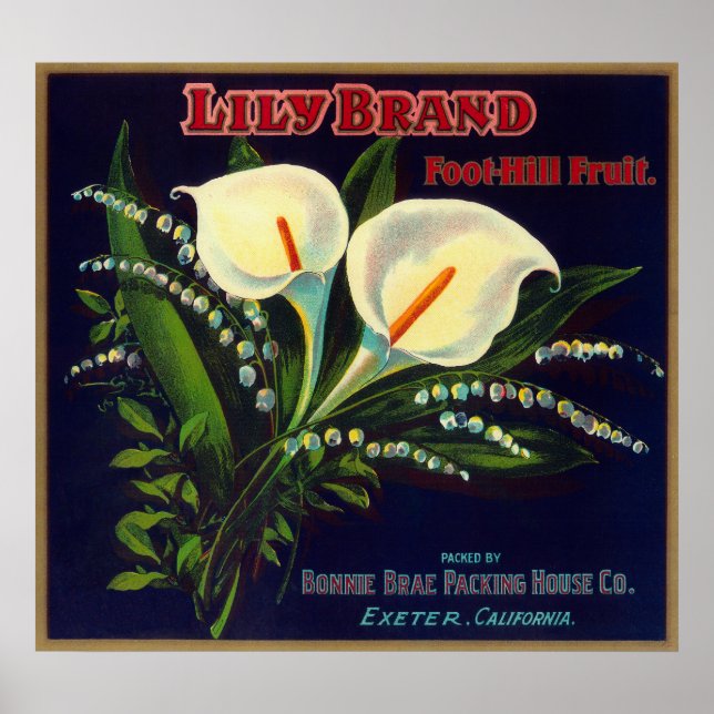 Lily Orange LabelExeter, CA Poster (Front)