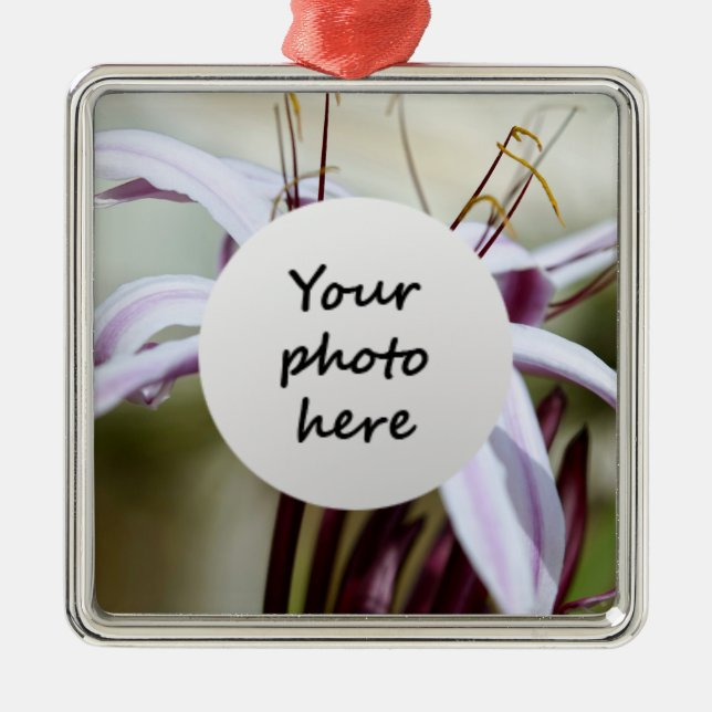 Lily Ornaments (Front)