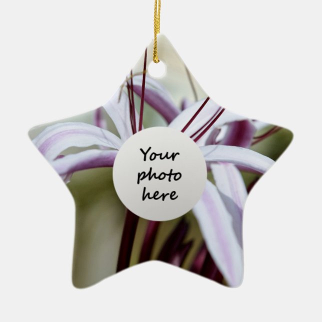 Lily Ornaments (Front)