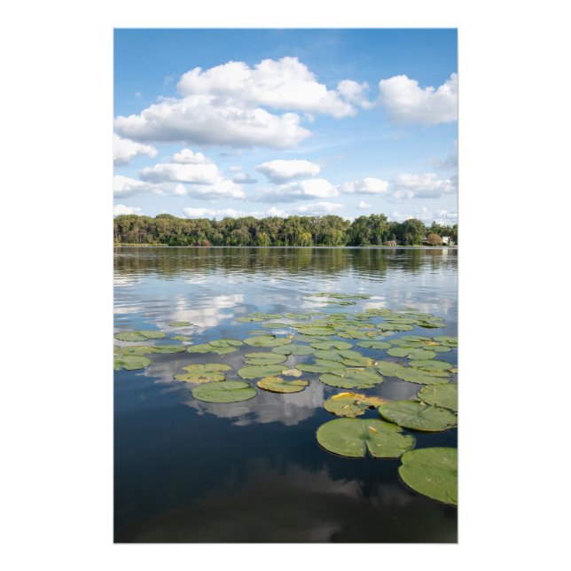 Lily Pad Lake Photo Print (Front)