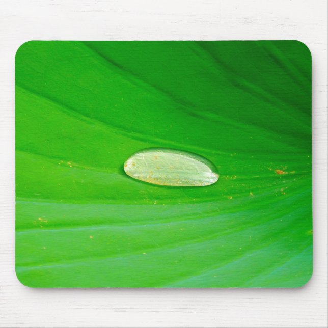 Lily Pad Mouse Mat (Front)