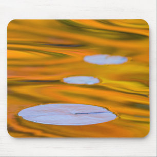 Lily pad on orange water, Canada Mouse Pad