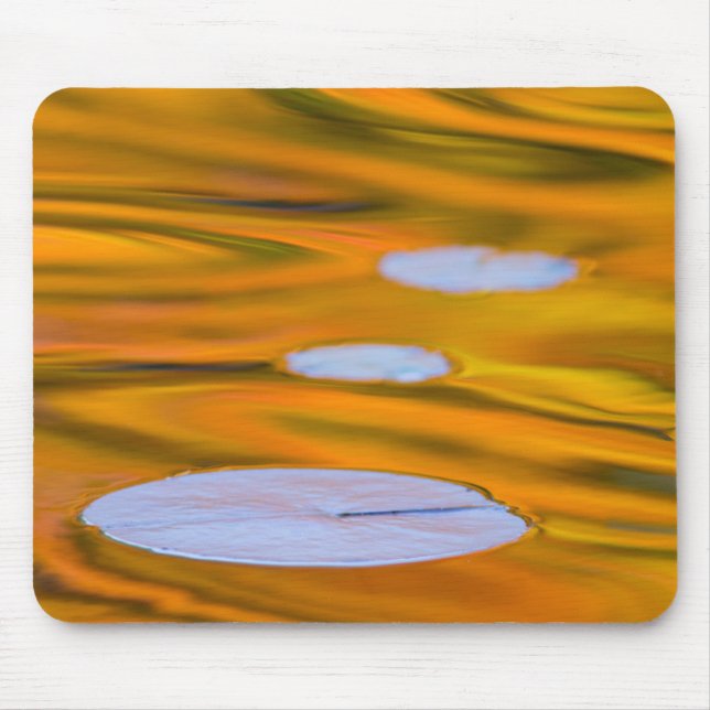 Lily pad on orange water, Canada Mouse Pad (Front)