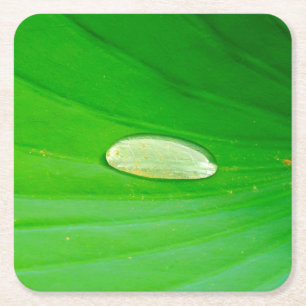 Lily Pad Paper Coaster