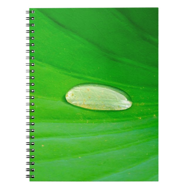 Lily Pad Photo Notebook (Front)