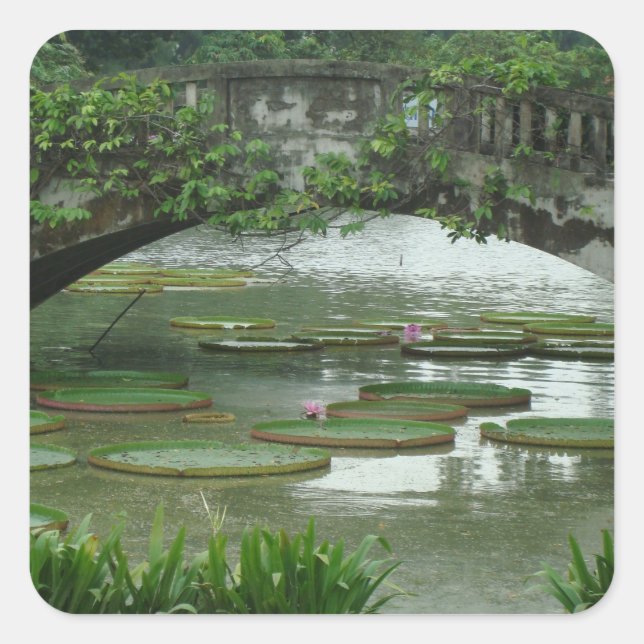 Lily Pad Photo Sticker (Front)