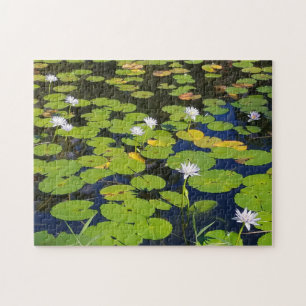 Lily Pad Pond Photo or Your Photo Jigsaw Puzzle