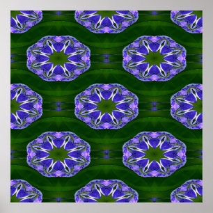 Lily pad stars.... poster